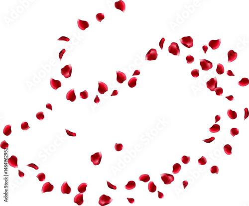 Red rose petals fly in a circle. The center free space for Your photos or text. white background