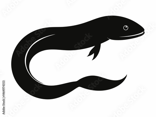 eel fish silhouette, moray eel silhouette vector white background