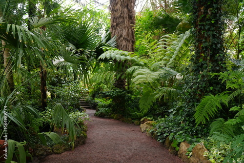 The greenhouse of the botanical garden inside