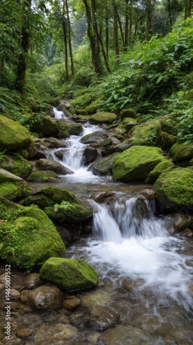 Lush green forest with a flowing stream over mossy rocks, creating small waterfalls.