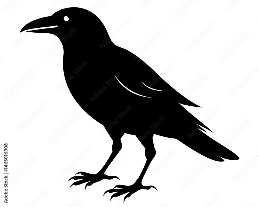 Obraz premium Crow Walking Silhouette SVG | Black Bird Vector Design