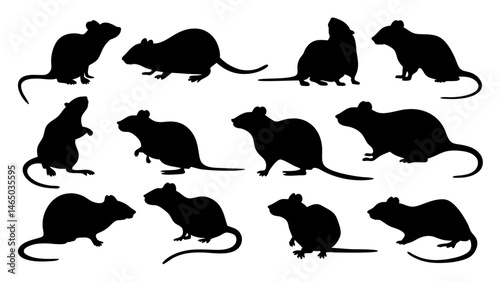 set of rats silhouette vector on tranparent background