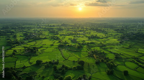 Rice terraces aerial view at sunrise with golden light illuminating vast green agricultural fields. Sustainable farming landscape with traditional cultivation patterns