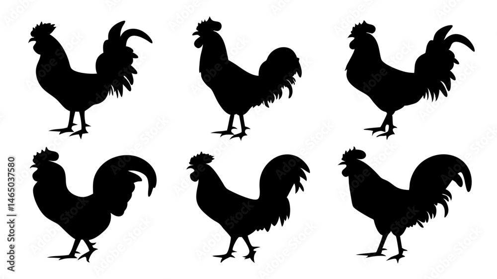 Fototapeta premium set of rooster different pose silhouette vector