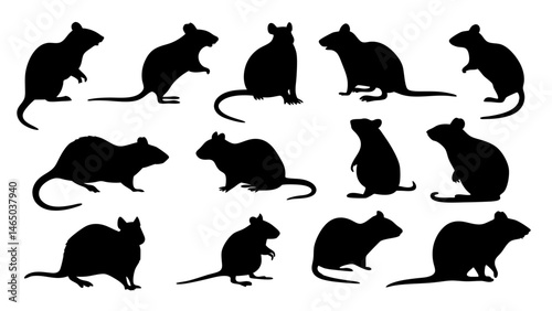 set of rats silhouette vector on tranparent background