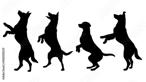 set of dog different pose silhouette vector