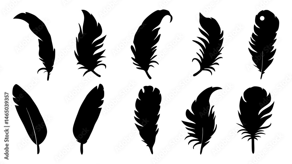 set of feathers silhouette vector on tranparent background set of feathers silhouette vector on tranparent background