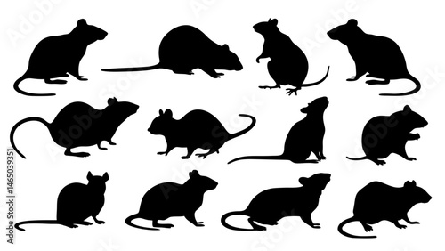 set of rats silhouette vector on tranparent background