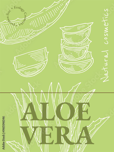 Design template concept of Aloe vera vertical poster, card. Natural cosmetics ingredient. Hand drawn ink sketch plant from package design. Ecology concept in beauty industry.