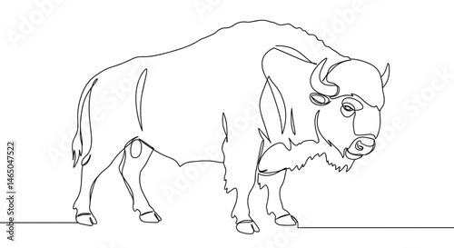 Single line drawing of a bison standing on a plain background  