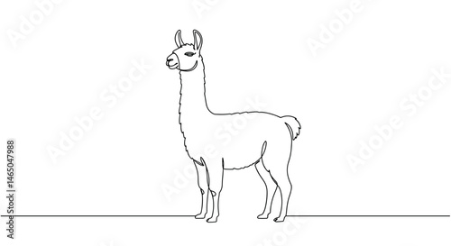 Llama standing elegantly on a minimalistic background  