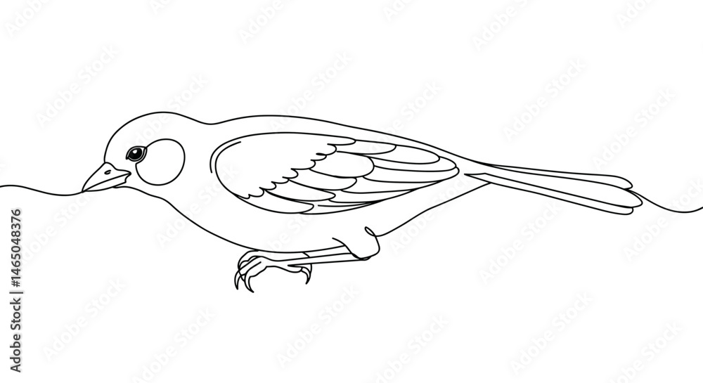 Fototapeta premium Sparrow sketch in minimalist style on white background