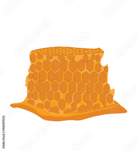 Vector honeycomb. Cute honeycomb drawing 