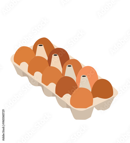 egg box with ten brown eggs