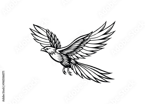 Silhouette of bird in flight isolated on a white background