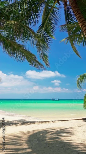 Beautiful tropical beach with scenery palm tree and crystal clear ocean on nature background 4K