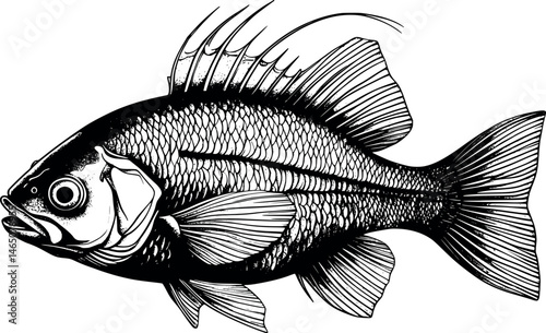 Artistic engraving of fictional fish with surreal vintage texture on white