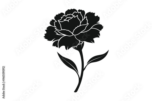 Elegant black silhouette of a carnation flower isolated on white background