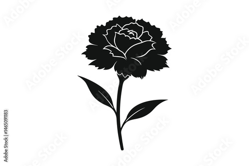 Elegant black silhouette of a carnation flower isolated on white background