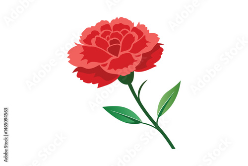 Red carnation flower vector illustration isolated on white background