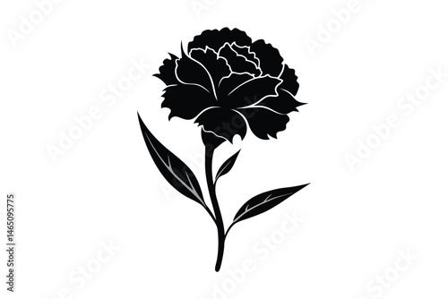 carnation vector illustration on white background