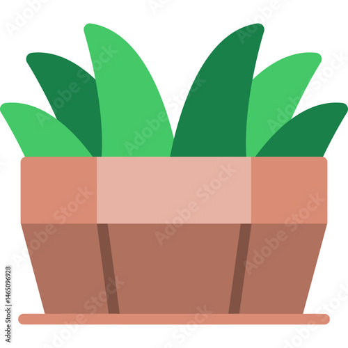 Succulent Arrangement Icon