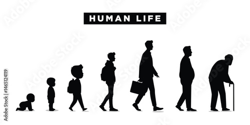 Human Life Cycle from Baby to Elderly. Life cycles of man from a little baby to senior man silhouette vector illustration.
