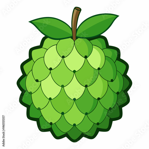 Simple Sweetsop Vector on White Background