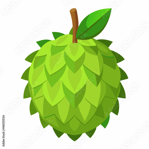 Simple Sweetsop Vector on White Background