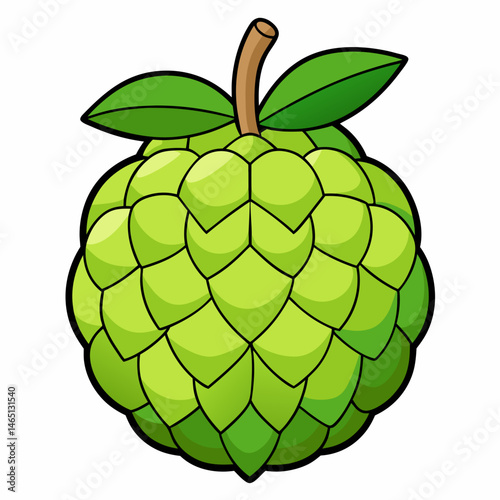 Simple Sweetsop Vector on White Background