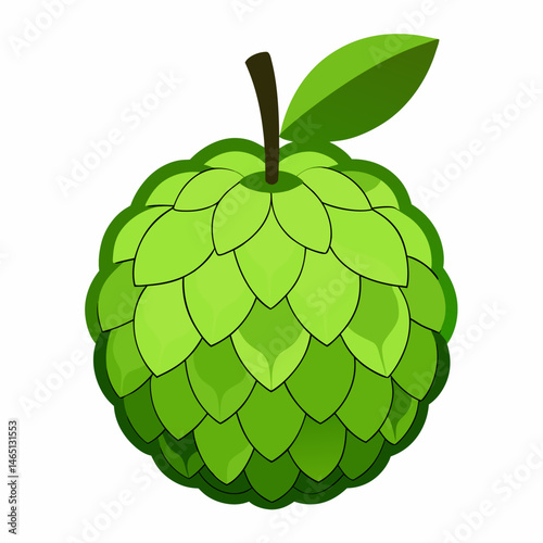 Simple Sweetsop Vector on White Background