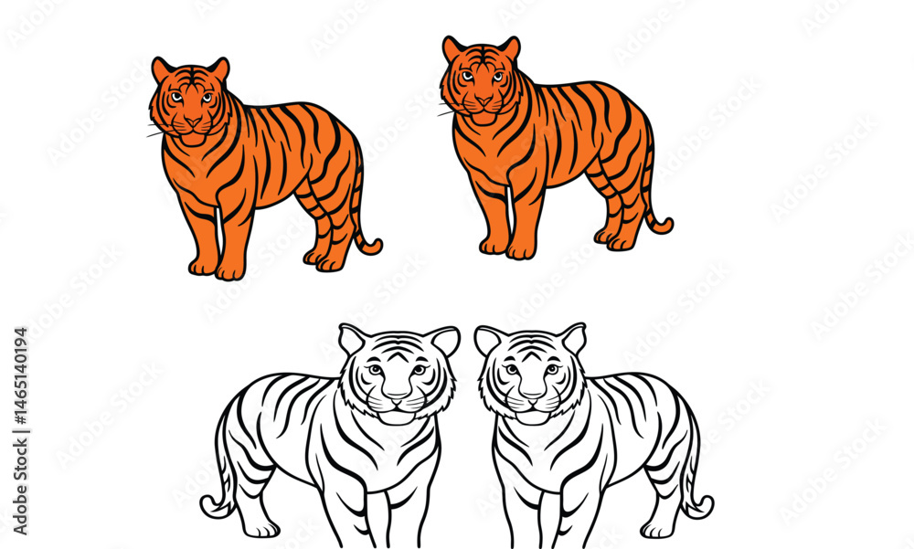 Fototapeta premium Tiger