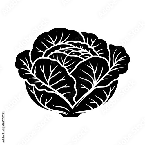 Cabbage icon, cabbage silhouette set, of green cabbage Green leafy cabbage. Farm products. Vector illustration, Cabbage illustration, Black and white cabbage vector silhouette.