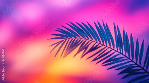 Vibrant sunset sky with colorful hues and a silhouetted palm leaf in the foreground