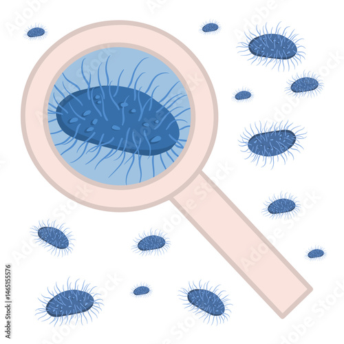 Vector isolated illustration inguinal granuloma bacterium.