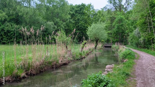 Idyllic creek with riparian vegetation and forest edge, Germany, Augsburg, Haunstetten, 7 May 2025


