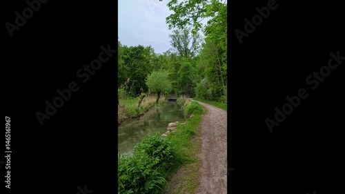 Idyllic creek with riparian vegetation and forest edge, Germany, Augsburg, Haunstetten, 7 May 2025

