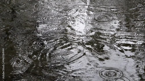 Raindrops forming concentric circles on water surface, Germany, Augsburg, Haunstetten, 7 May 2025

