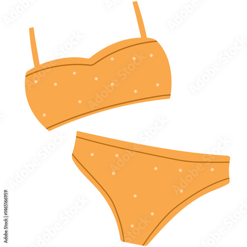 bikini swim suit icon
