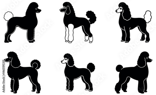 Stylised Poodle Dog Silhouettes Set - Black and White Illustrations