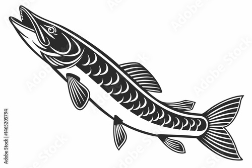bichir sihouette black vector