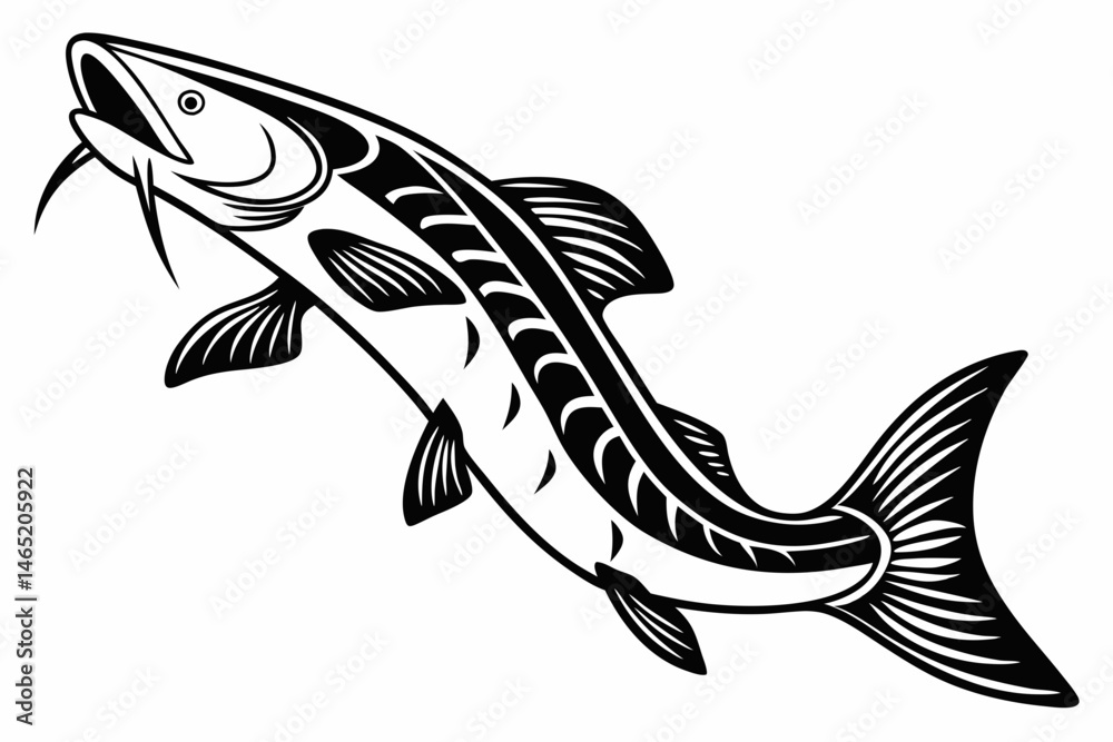bichir sihouette black vector bichir sihouette black vector