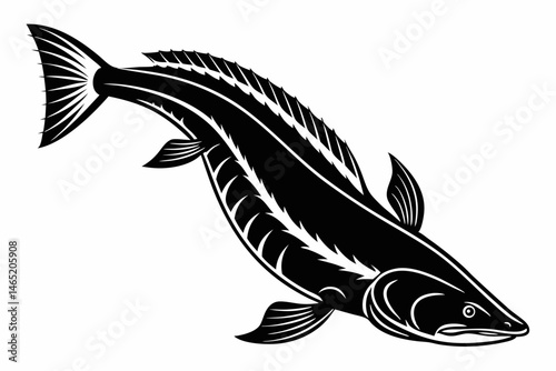 bichir sihouette black vector