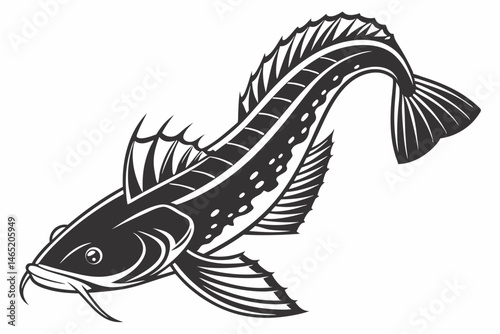 bichir sihouette black vector