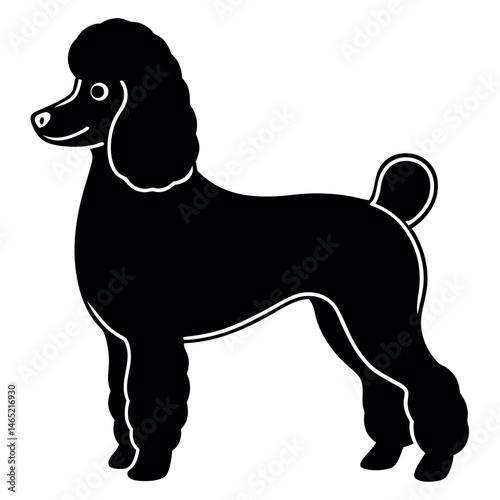 Silhouette of a playful Standard Poodle