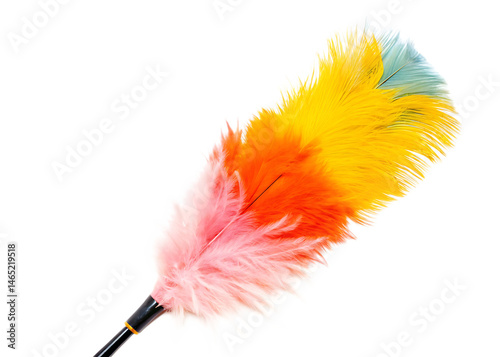 Soft feather duster with multicolored tips isolated on white background PNG