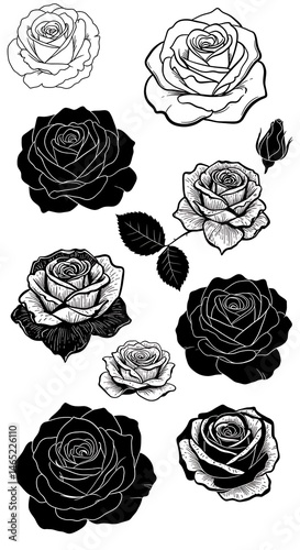 Wallpaper Mural Monochrome Rose Rhapsody AI Generated Torontodigital.ca