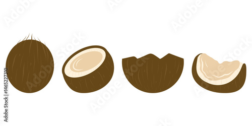 Whole coconuts, half coconuts and slices set 