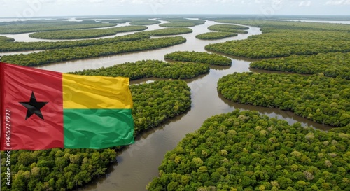 Waving Guinea-Bissauan Flag Over the Intricate Mangrove Estuaries of the Bijagós Archipelago photo
