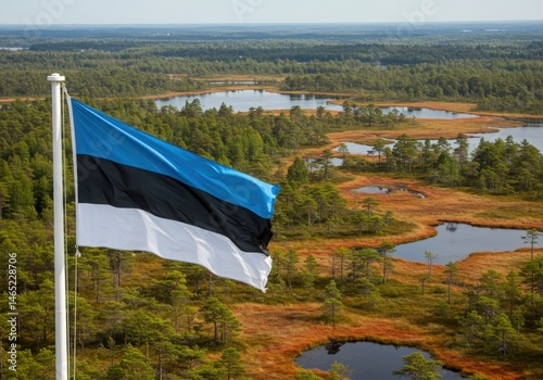 Waving Estonian Flag Symbolizing Northern Skies Over Forests Bogs and Lakes of Lahemaa National Park